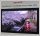 На выставке IFA 2011 Sharp показал телевизор с разрешением 7680х4320 точек